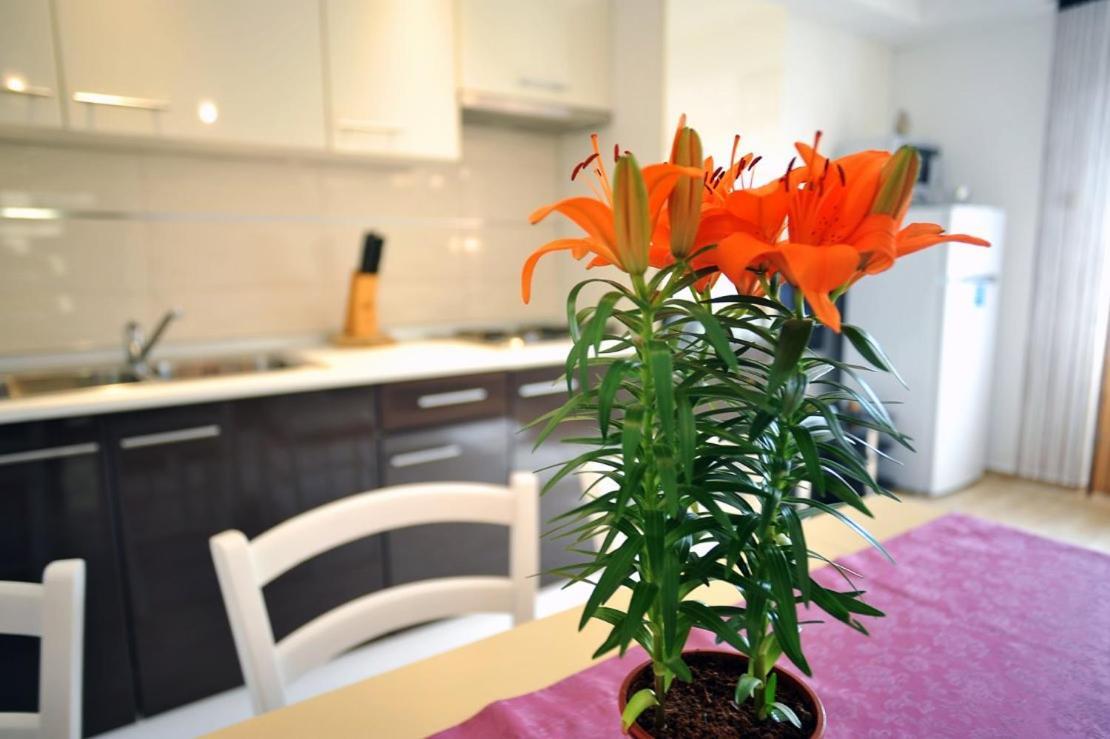 Apartmani Anita Медулин Екстер'єр фото